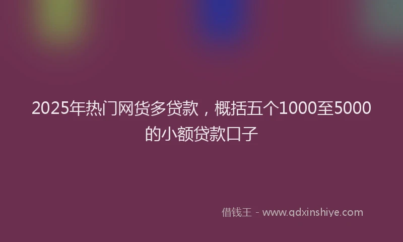 2025年热门网货多贷款，概括五个1000至5000的小额贷款口子