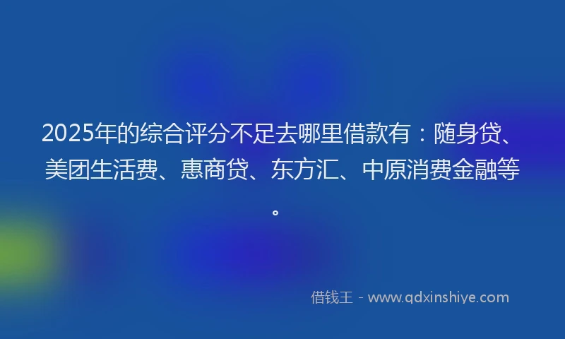 2025年的综合评分不足去哪里借款有：随身贷、美团生活费、惠商贷、东方汇、中原消费金融等。