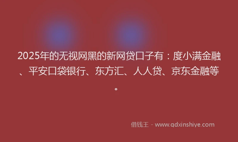 2025年的无视网黑的新网贷口子有：度小满金融、平安口袋银行、东方汇、人人贷、京东金融等。