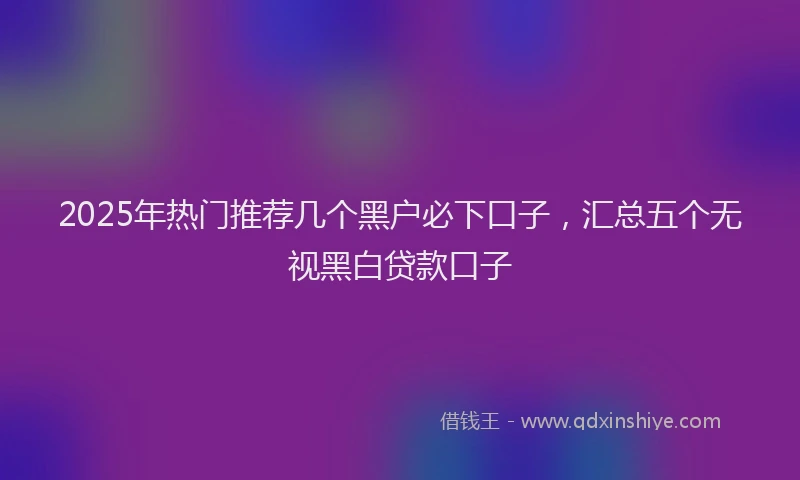 2025年热门推荐几个黑户必下口子，汇总五个无视黑白贷款口子