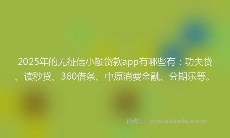 2025年的无征信小额贷款app有哪些有：功夫贷、读秒贷、360借条、中原消费金融、分期乐等。