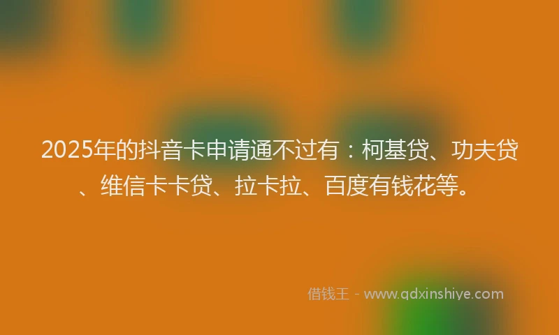 2025年的抖音卡申请通不过有：柯基贷、功夫贷、维信卡卡贷、拉卡拉、百度有钱花等。