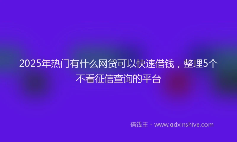 2025年热门有什么网贷可以快速借钱，整理5个不看征信查询的平台