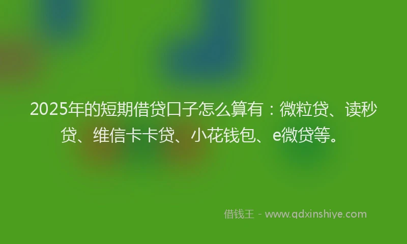 2025年的短期借贷口子怎么算有：微粒贷、读秒贷、维信卡卡贷、小花钱包、e微贷等。