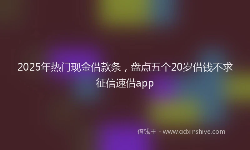 2025年热门现金借款条，盘点五个20岁借钱不求征信速借app