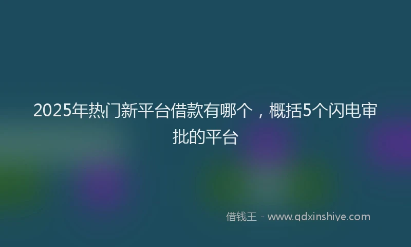2025年热门新平台借款有哪个，概括5个闪电审批的平台