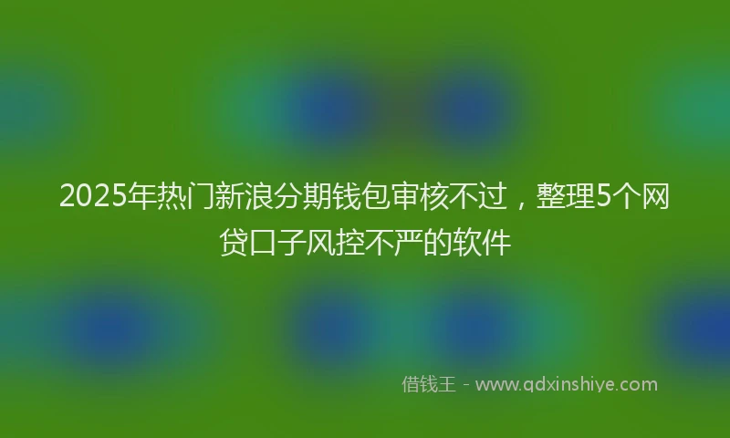 2025年热门新浪分期钱包审核不过，整理5个网贷口子风控不严的软件