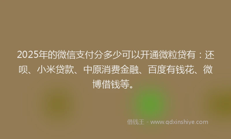 2025年的微信支付分多少可以开通微粒贷有：还呗、小米贷款、中原消费金融、百度有钱花、微博借钱等。