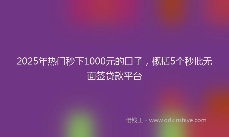 2025年热门秒下1000元的口子，概括5个秒批无面签贷款平台