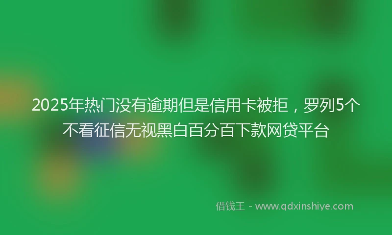 2025年热门没有逾期但是信用卡被拒，罗列5个不看征信无视黑白百分百下款网贷平台