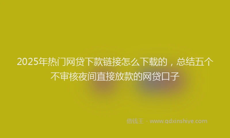 2025年热门网贷下款链接怎么下载的，总结五个不审核夜间直接放款的网贷口子