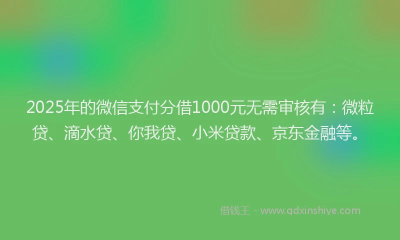 2025年的微信支付分借1000元无需审核有：微粒贷、滴水贷、你我贷、小米贷款、京东金融等。