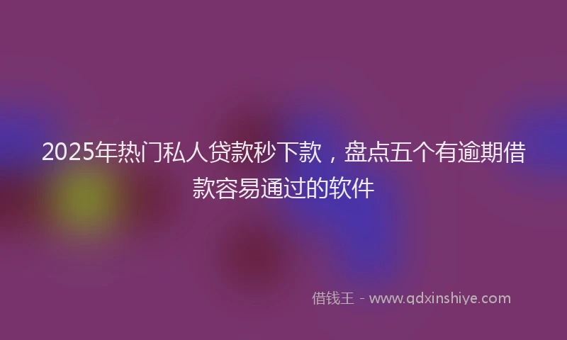 2025年热门私人贷款秒下款，盘点五个有逾期借款容易通过的软件