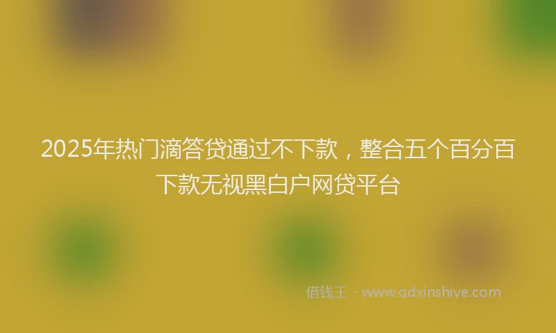 2025年热门滴答贷通过不下款，整合五个百分百下款无视黑白户网贷平台