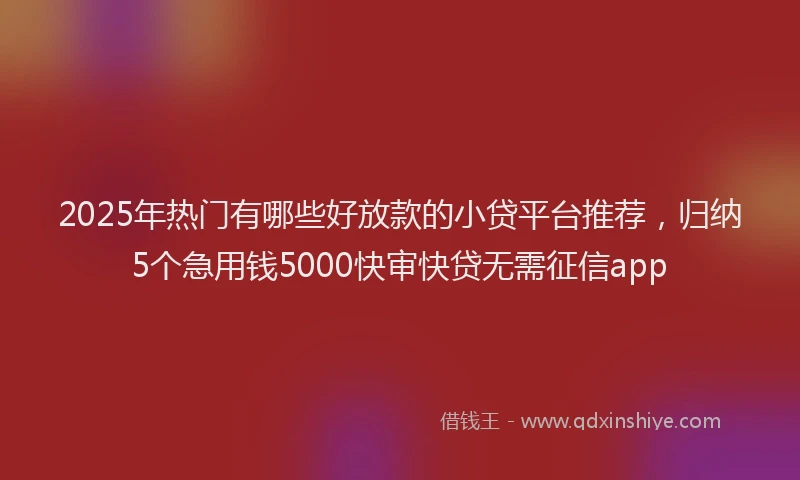 2025年热门有哪些好放款的小贷平台推荐，归纳5个急用钱5000快审快贷无需征信app