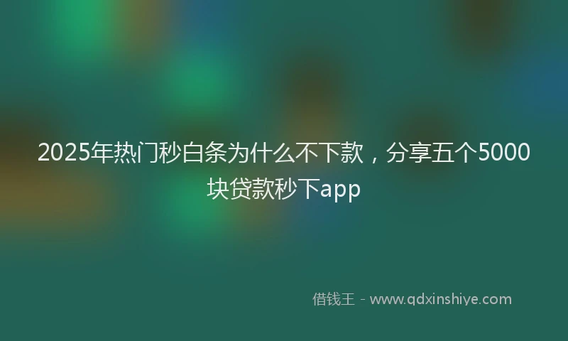 2025年热门秒白条为什么不下款，分享五个5000块贷款秒下app