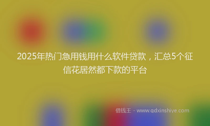 2025年热门急用钱用什么软件贷款，汇总5个征信花居然都下款的平台