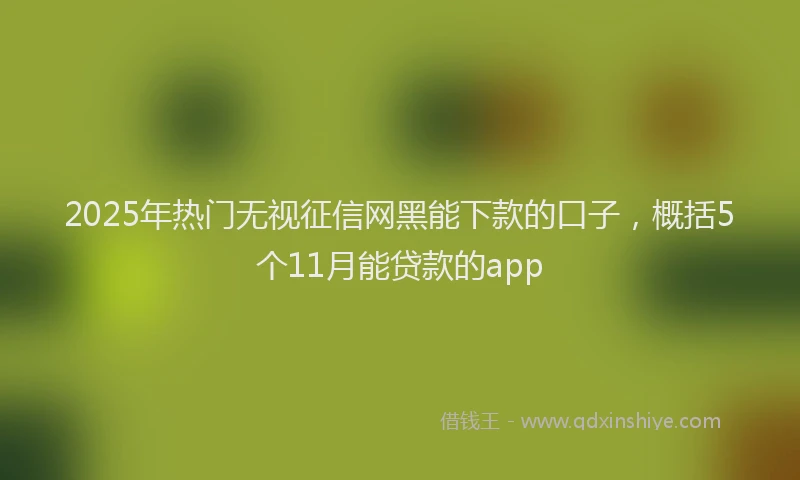 2025年热门无视征信网黑能下款的口子，概括5个11月能贷款的app