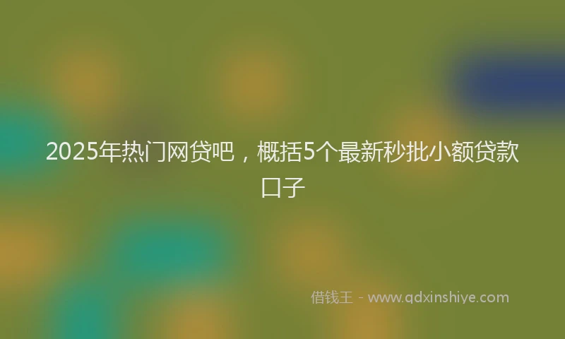 2025年热门网贷吧，概括5个最新秒批小额贷款口子