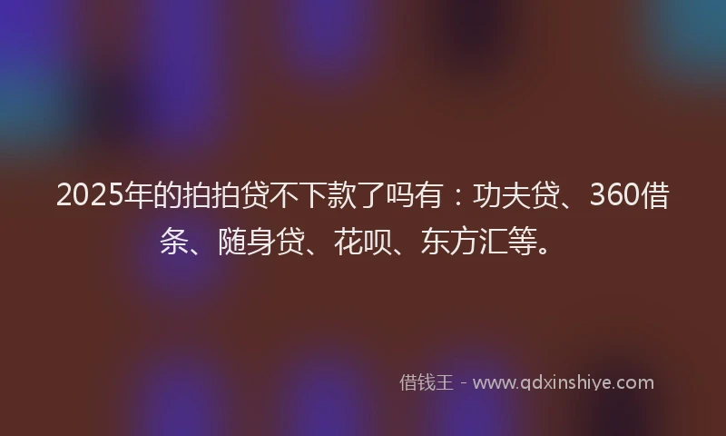 2025年的拍拍贷不下款了吗有：功夫贷、360借条、随身贷、花呗、东方汇等。