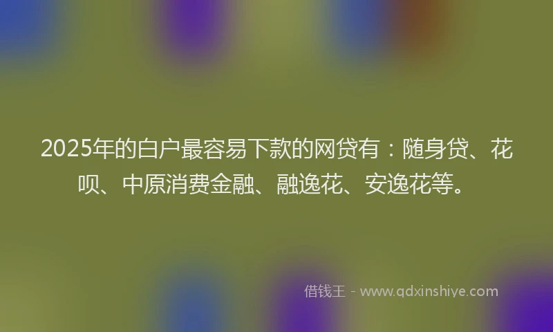 2025年的白户最容易下款的网贷有：随身贷、花呗、中原消费金融、融逸花、安逸花等。