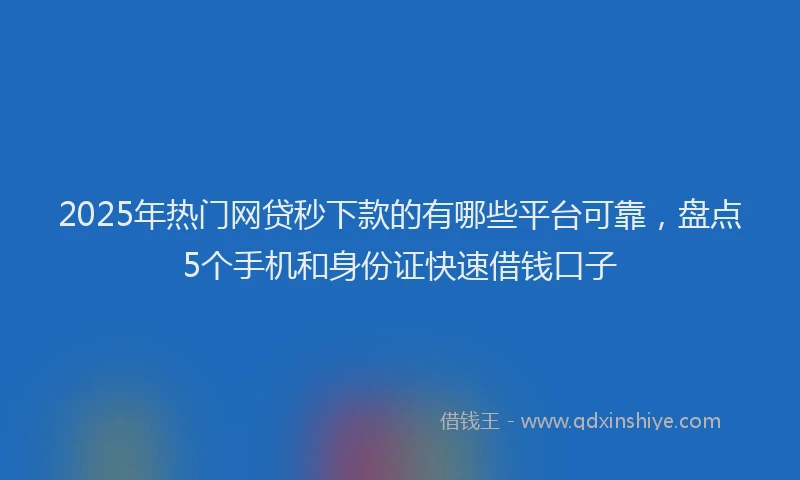 2025年热门网贷秒下款的有哪些平台可靠，盘点5个手机和身份证快速借钱口子