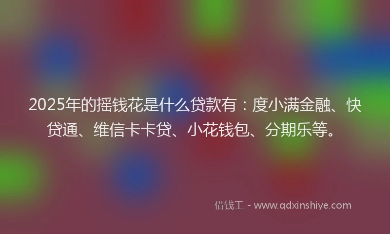 2025年的摇钱花是什么贷款有：度小满金融、快贷通、维信卡卡贷、小花钱包、分期乐等。