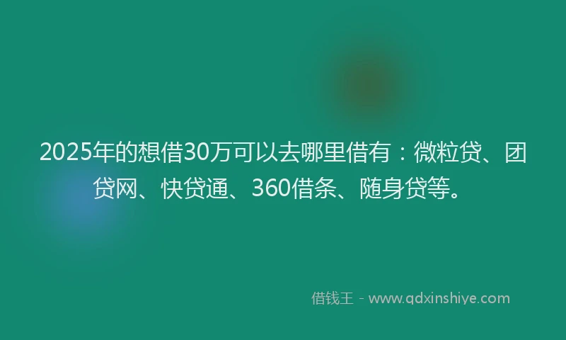 2025年的想借30万可以去哪里借有：微粒贷、团贷网、快贷通、360借条、随身贷等。