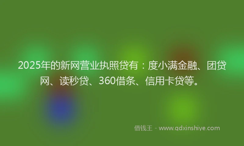 2025年的新网营业执照贷有：度小满金融、团贷网、读秒贷、360借条、信用卡贷等。