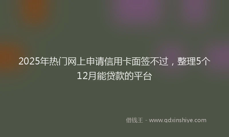 2025年热门网上申请信用卡面签不过，整理5个12月能贷款的平台