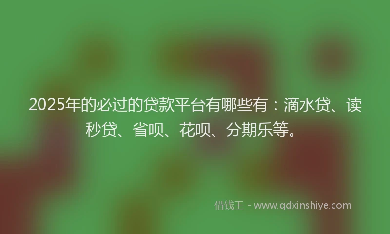 2025年的必过的贷款平台有哪些有:滴水贷、读秒贷、省呗、花呗、分期乐等。