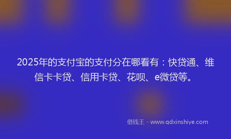 2025年的支付宝的支付分在哪看有：快贷通、维信卡卡贷、信用卡贷、花呗、e微贷等。