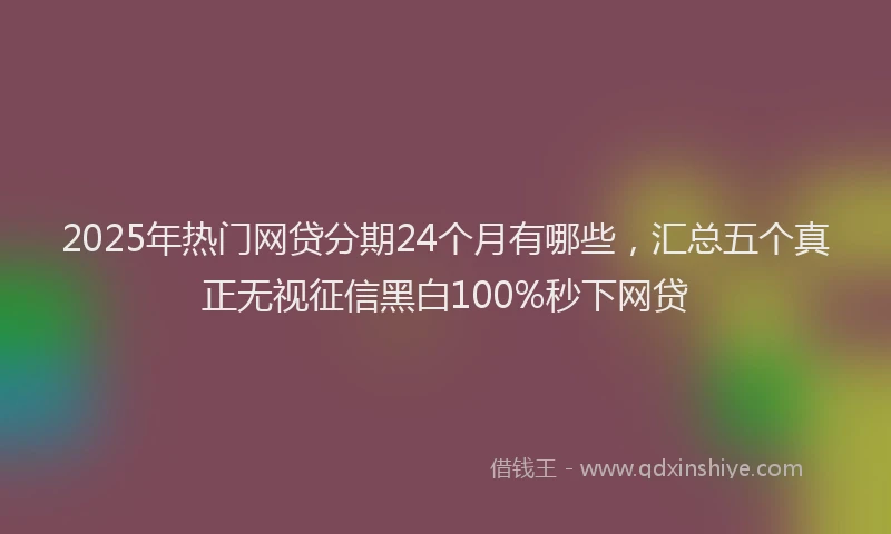 2025年热门网贷分期24个月有哪些，汇总五个真正无视征信黑白100%秒下网贷