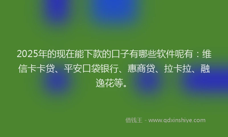 2025年的现在能下款的口子有哪些软件呢有：维信卡卡贷、平安口袋银行、惠商贷、拉卡拉、融逸花等。