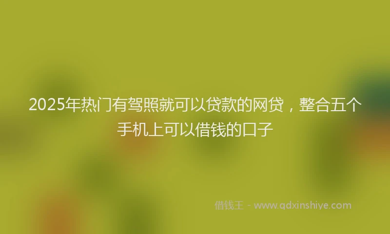 2025年热门有驾照就可以贷款的网贷，整合五个手机上可以借钱的口子