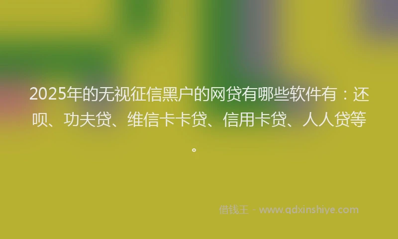 2025年的无视征信黑户的网贷有哪些软件有：还呗、功夫贷、维信卡卡贷、信用卡贷、人人贷等。