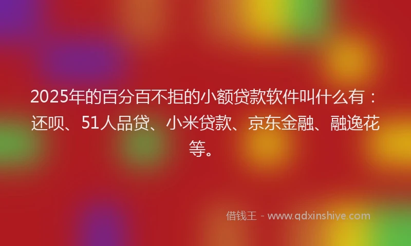 2025年的百分百不拒的小额贷款软件叫什么有：还呗、51人品贷、小米贷款、京东金融、融逸花等。
