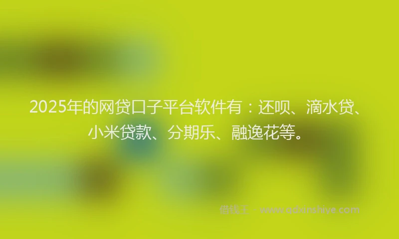 2025年的网贷口子平台软件有：还呗、滴水贷、小米贷款、分期乐、融逸花等。