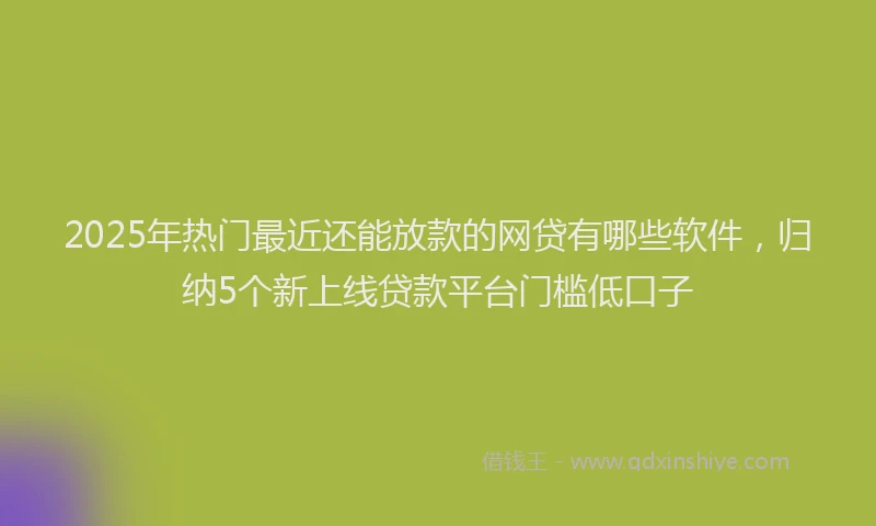 2025年热门最近还能放款的网贷有哪些软件，归纳5个新上线贷款平台门槛低口子