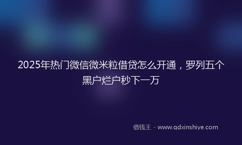 2025年热门微信微米粒借贷怎么开通，罗列五个黑户烂户秒下一万