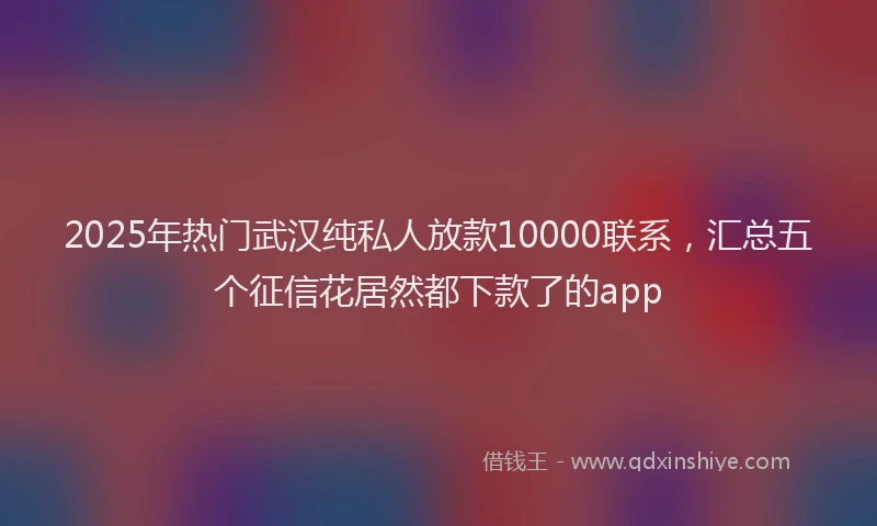 2025年热门武汉纯私人放款10000联系，汇总五个征信花居然都下款了的app