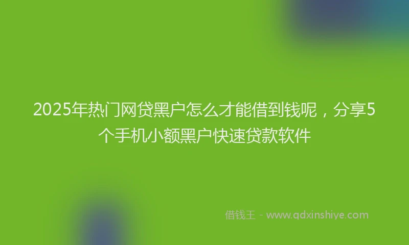 2025年热门网贷黑户怎么才能借到钱呢，分享5个手机小额黑户快速贷款软件