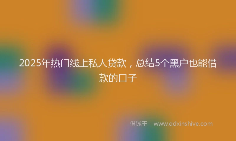 2025年热门线上私人贷款，总结5个黑户也能借款的口子