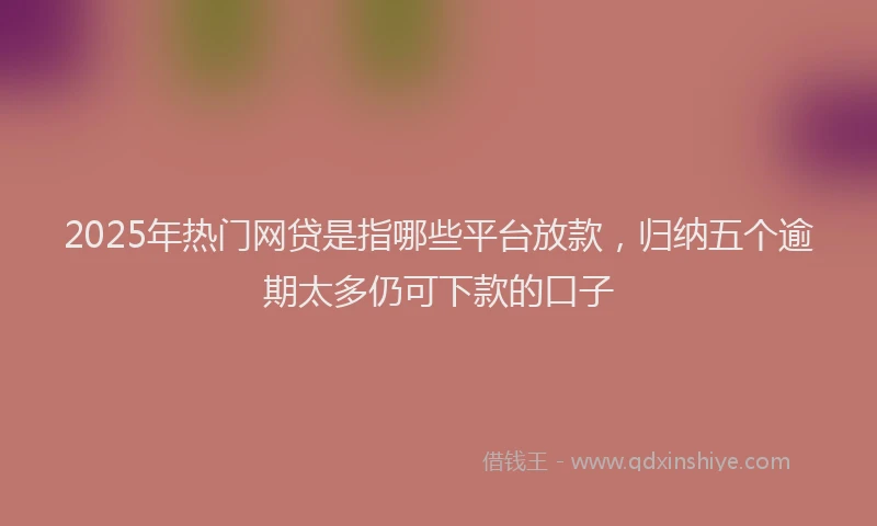 2025年热门网贷是指哪些平台放款，归纳五个逾期太多仍可下款的口子