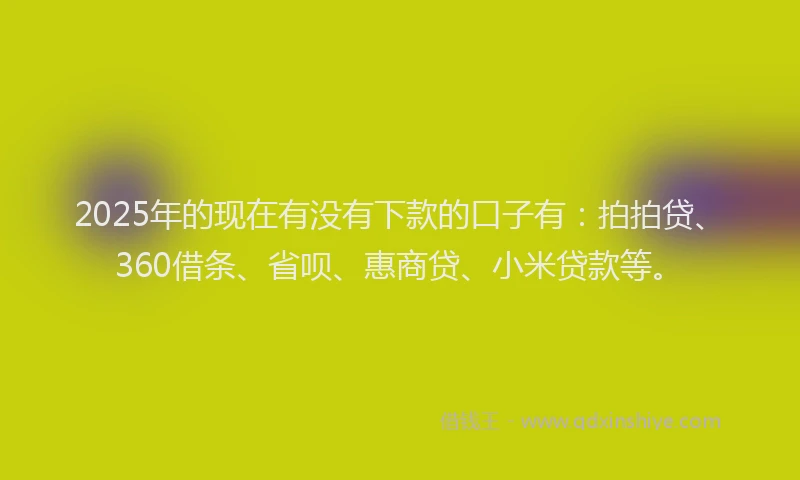 2025年的现在有没有下款的口子有：拍拍贷、360借条、省呗、惠商贷、小米贷款等。