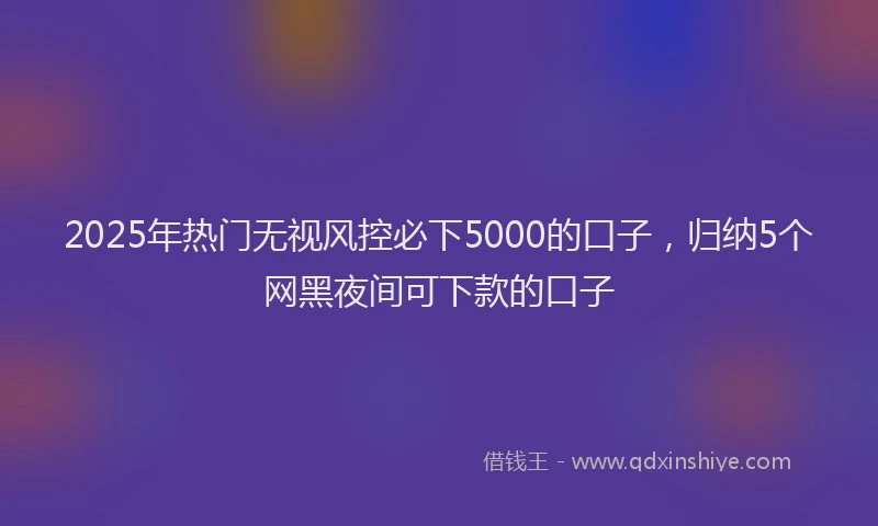 2025年热门无视风控必下5000的口子，归纳5个网黑夜间可下款的口子