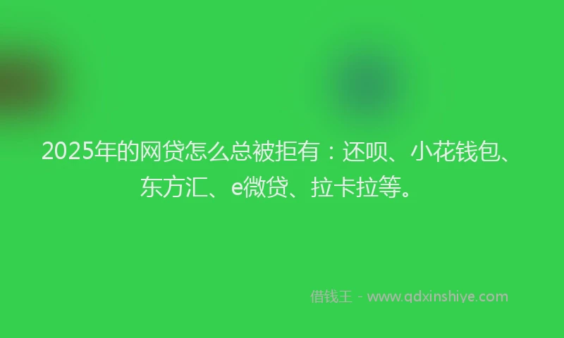 2025年的网贷怎么总被拒有：还呗、小花钱包、东方汇、e微贷、拉卡拉等。