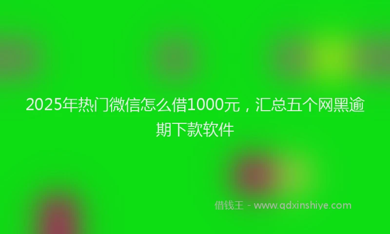 2025年热门微信怎么借1000元，汇总五个网黑逾期下款软件