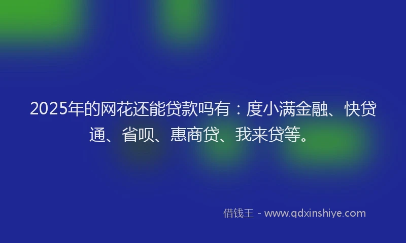 2025年的网花还能贷款吗有：度小满金融、快贷通、省呗、惠商贷、我来贷等。