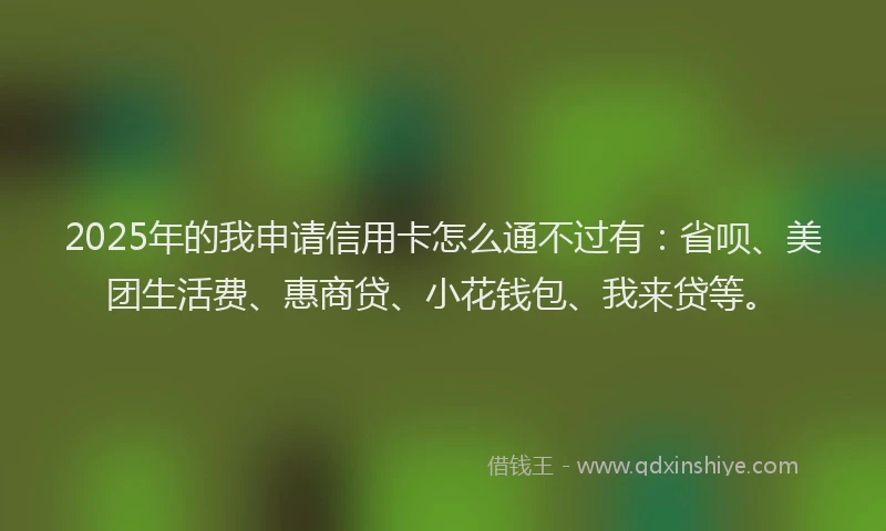 2025年的我申请信用卡怎么通不过有：省呗、美团生活费、惠商贷、小花钱包、我来贷等。